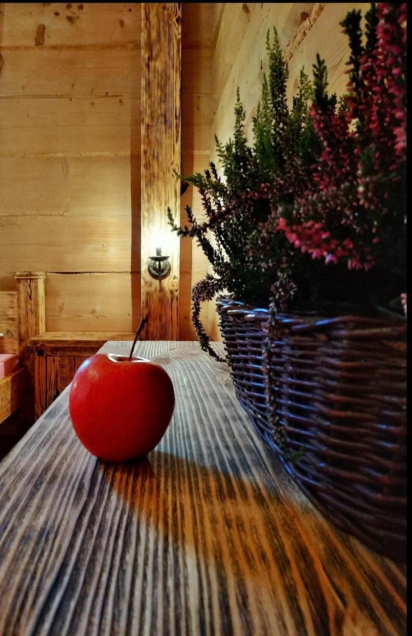 Bukowianska Ostoja - Sauna, Jacuzzi I Balia W Ofercie Bukowina Tatrzańska Esterno foto